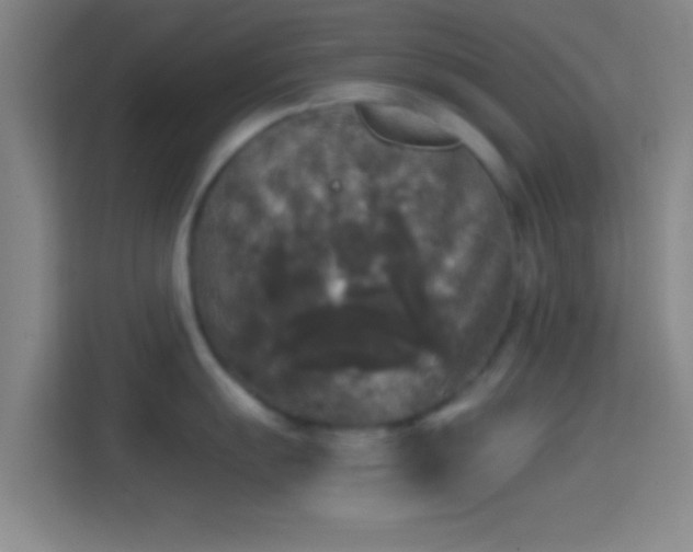 X0000114391055200910231013