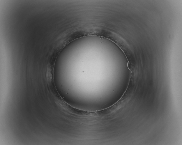 X0000114391058200910231012