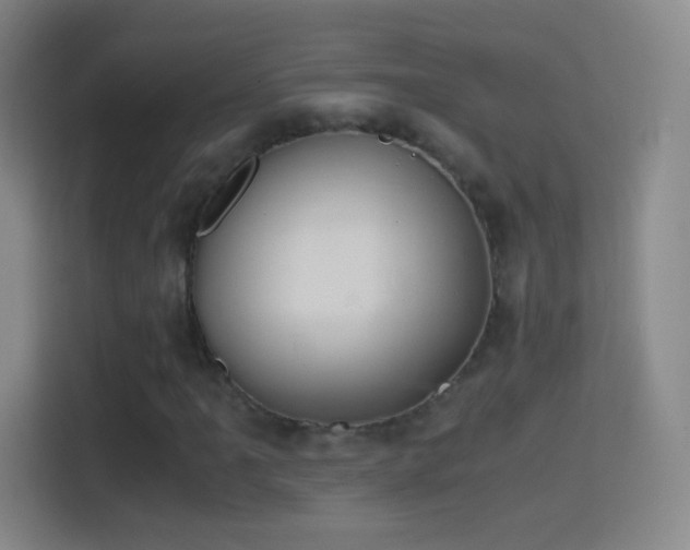 X0000114391061200910231012