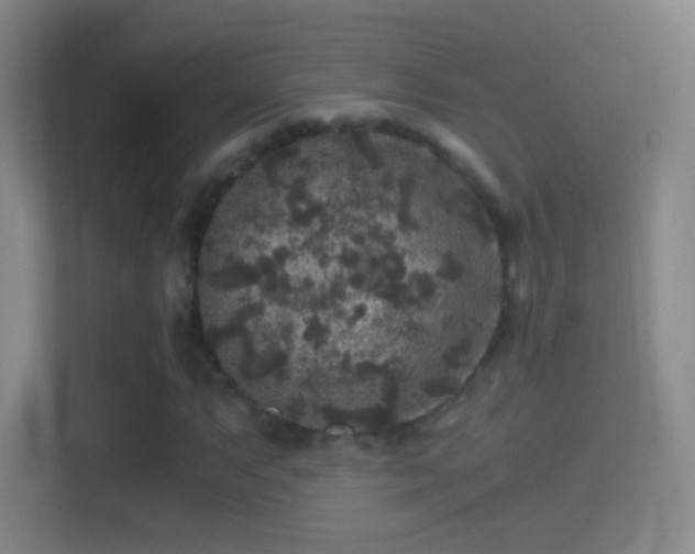 X0000114391063200910231012