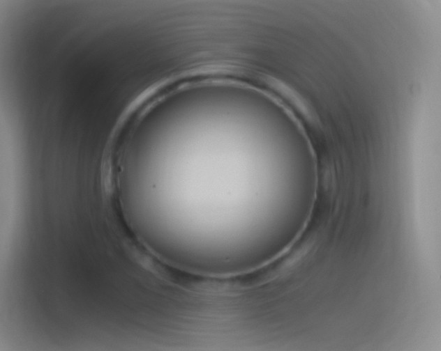 X0000114391069200910231012