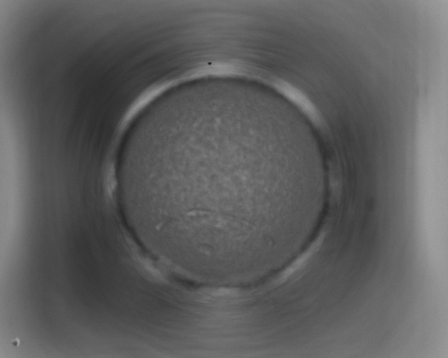 X0000114391070200910231012