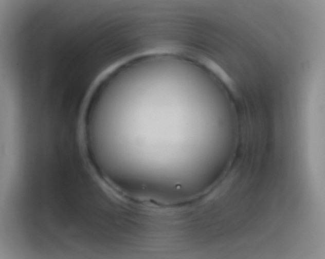X0000114391072200910231012