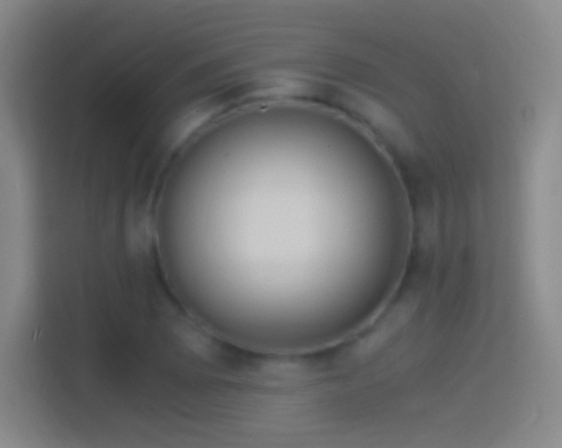 X0000114391073200910231012