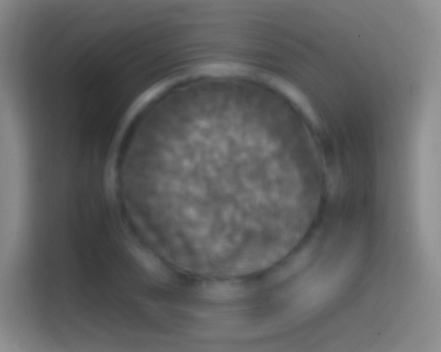 X0000114391074200910231012
