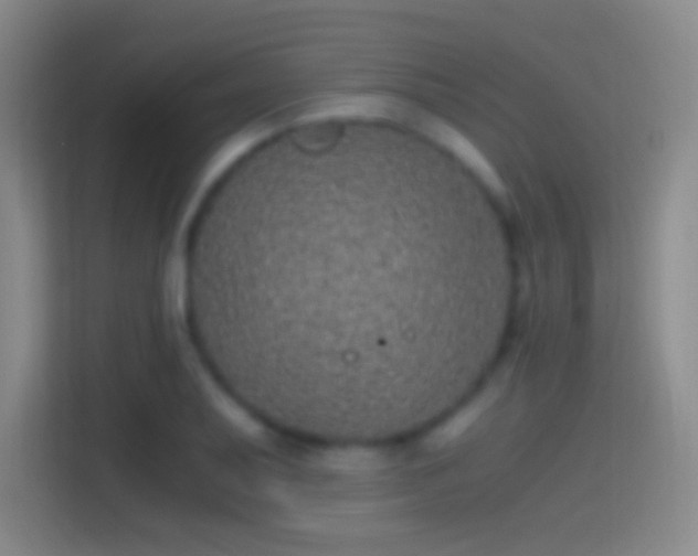 X0000114391079200910231012