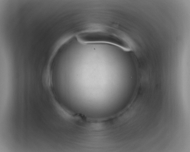 X0000114391080200910231012