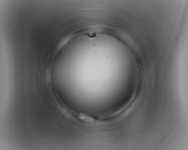 X0000114391081200910231012