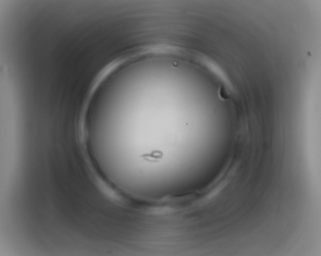 X0000114391082200910231012