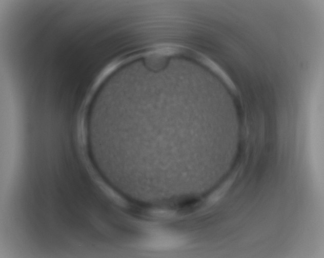 X0000114391083200910231012