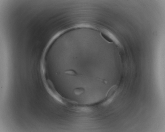 X0000114391084200910231012