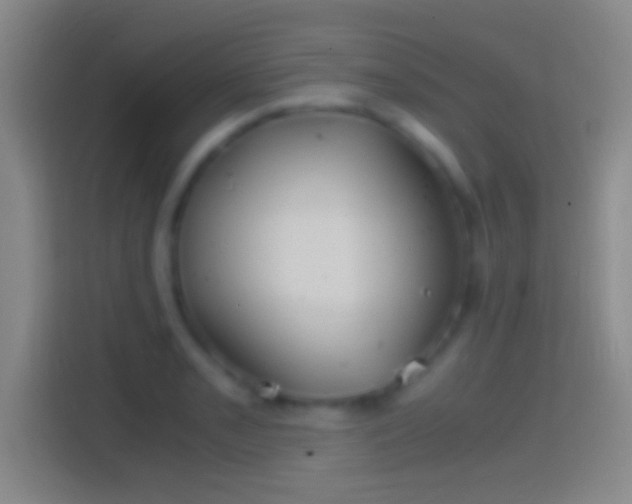 X0000114391085200910231012