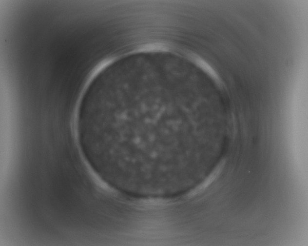 X0000114391087200910231012