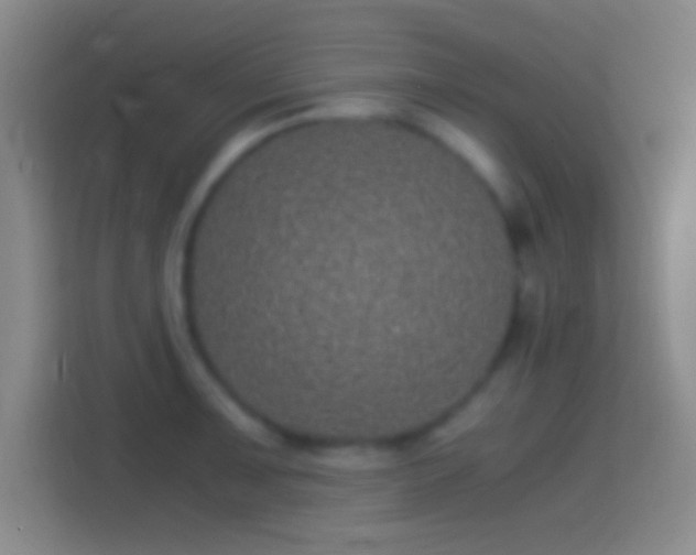 X0000114391091200910231012