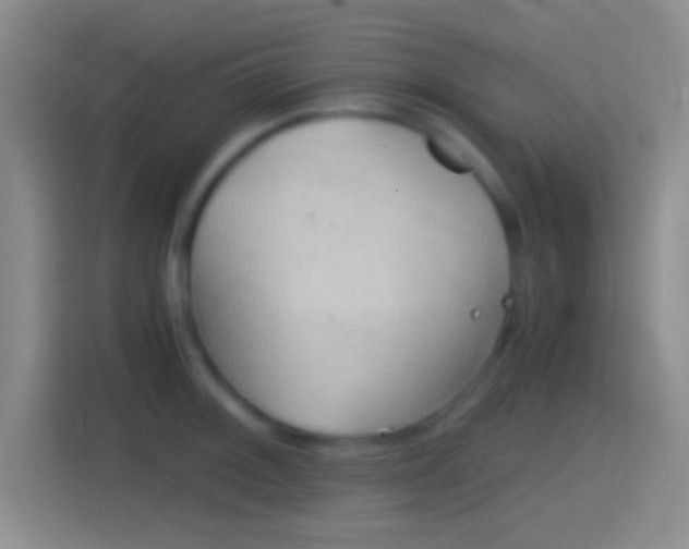 X0000114391092200910231012