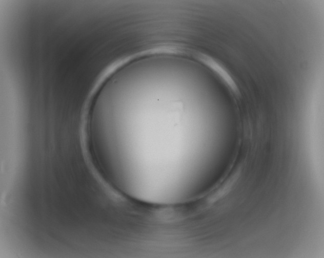 X0000114391093200910231012