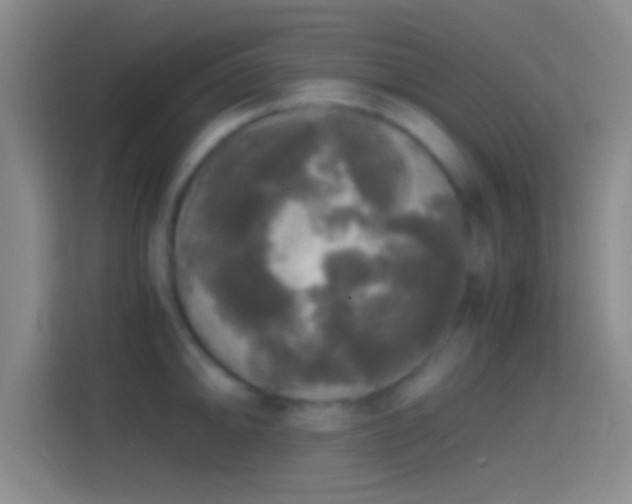 X0000114391094200910231012