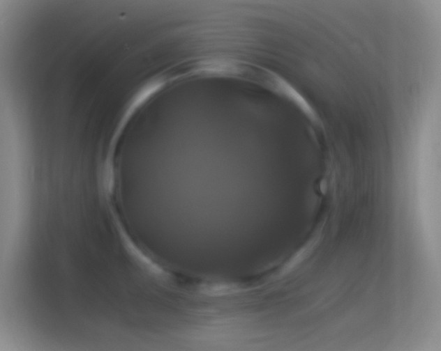 X0000114391095200910231012