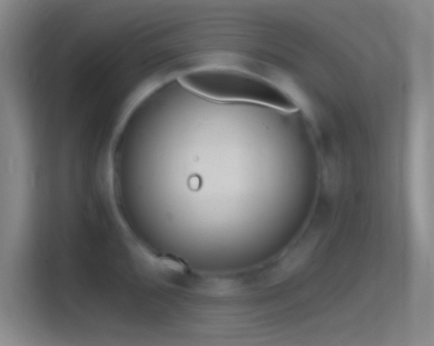 X0000114391096200910231012