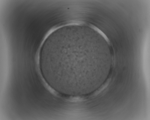 X0000114391099200910231012