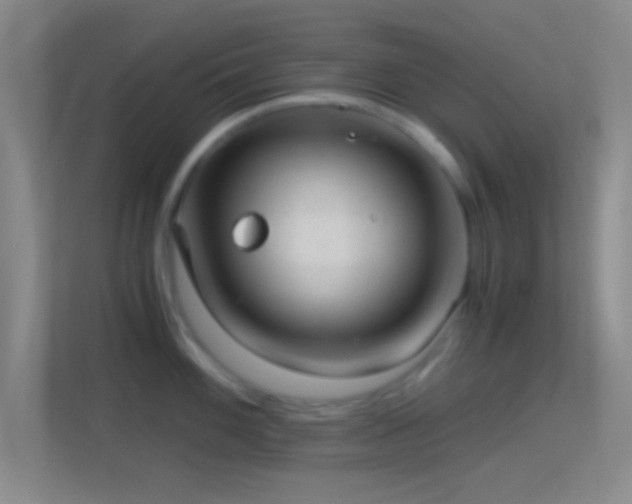 X0000114391100200910231011