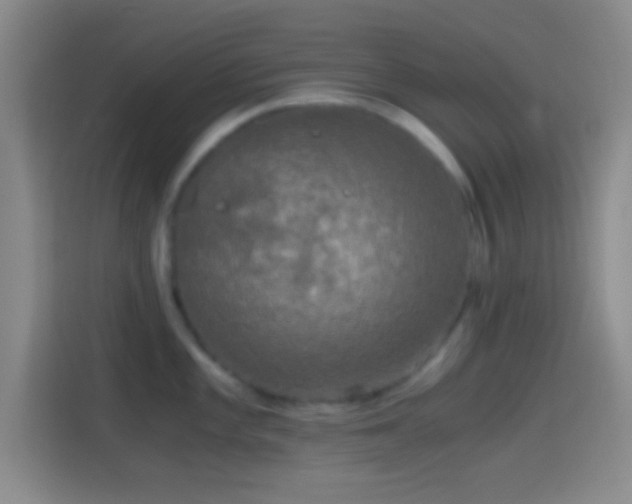 X0000114391101200910231011