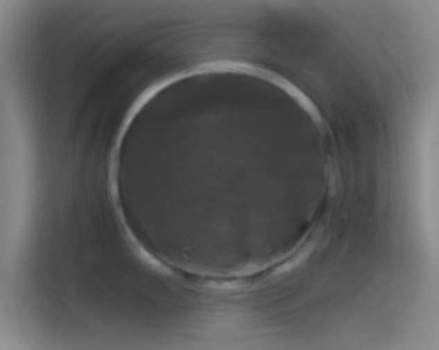 X0000114391102200910231011