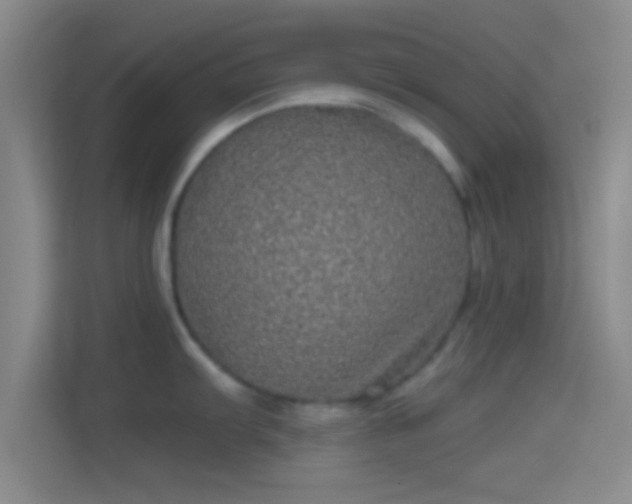 X0000114391103200910231011