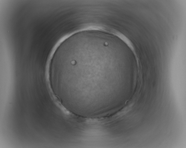 X0000114391104200910231011