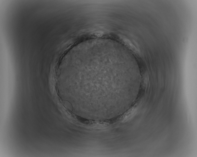 X0000114391105200910231011