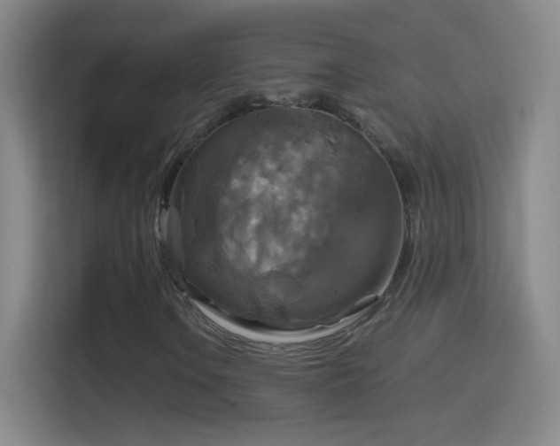 X0000114391106200910231011