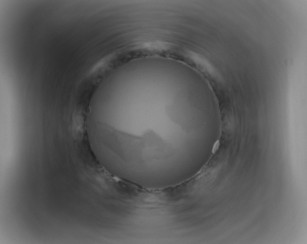 X0000114391110200910231011