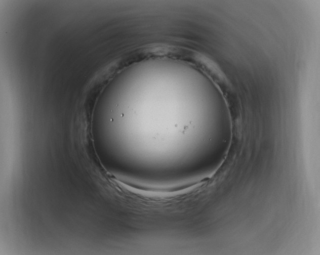 X0000114391111200910231011