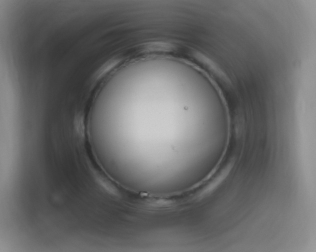 X0000114391113200910231011