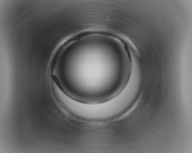 X0000114391114200910231011