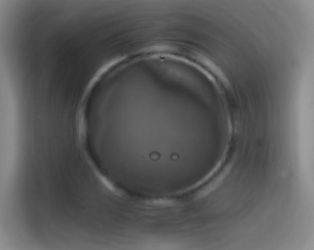 X0000114391117200910231011