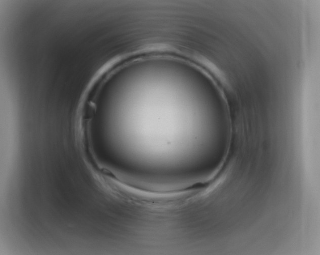 X0000114391118200910231011
