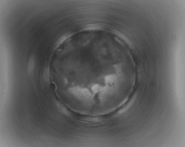 X0000114391121200910231011