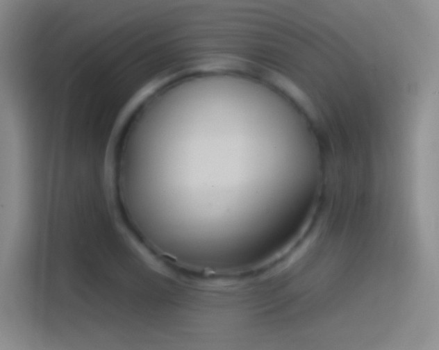 X0000114391122200910231011
