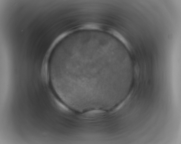 X0000114391123200910231011