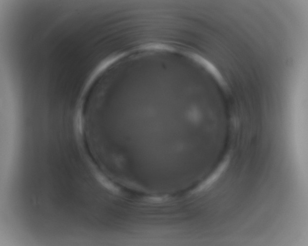X0000114391125200910231011
