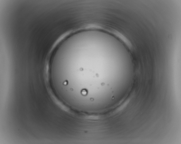 X0000114391126200910231011