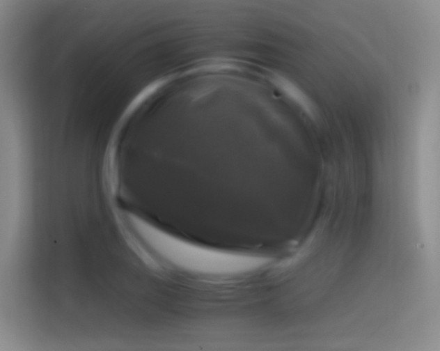 X0000114391127200910231011