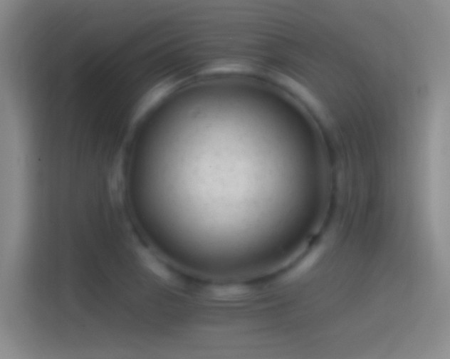 X0000114391129200910231011