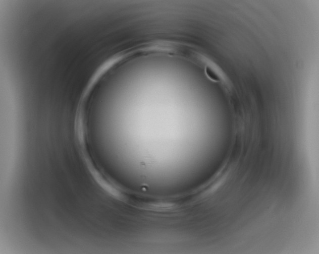 X0000114391131200910231011