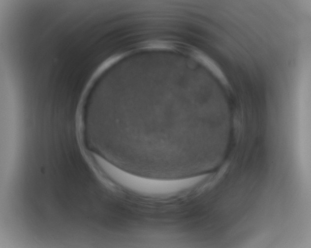 X0000114391133200910231011