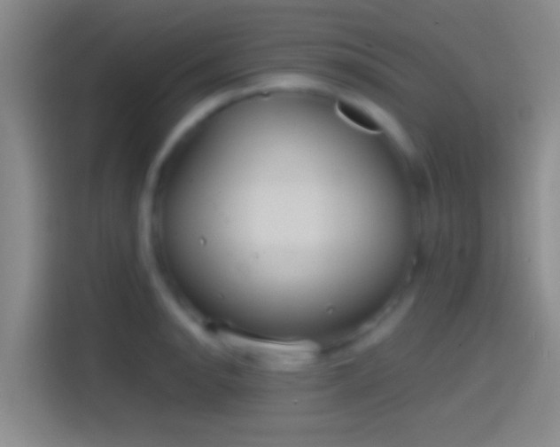 X0000114391134200910231011