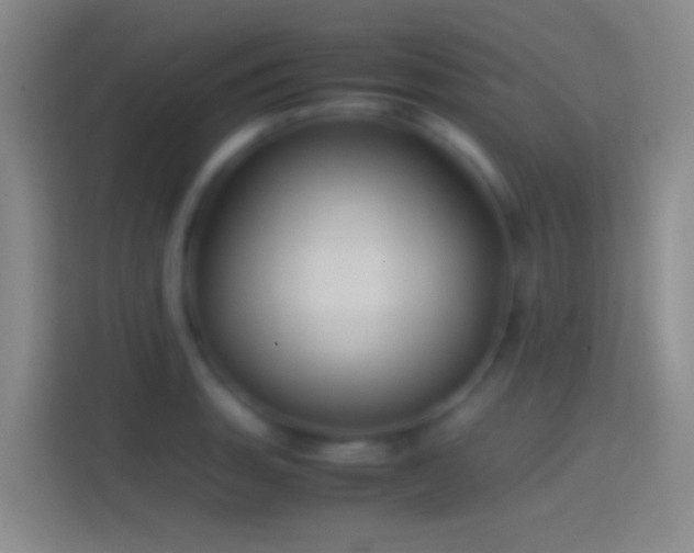 X0000114391135200910231011