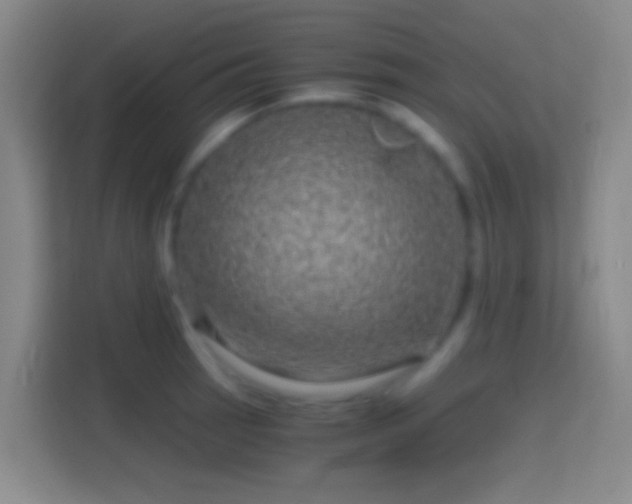 X0000114391137200910231011