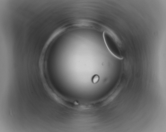 X0000114391138200910231011